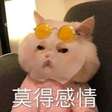 没有名字