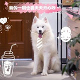 妮