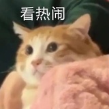 略略略略