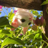 豆友b0Pg2ggsYE