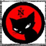猫在地球