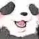 ctcdd