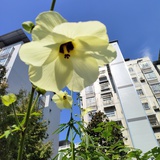 豆友zBq4mpWiA8