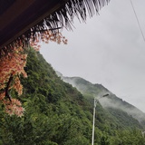 大侠何必呢