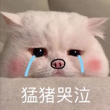花冠武神