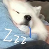 一颗爱吃羊的蛋