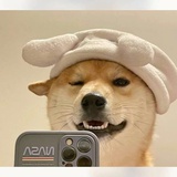 清漪