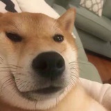 生椰拿铁
