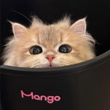 YZQ