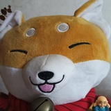 橘子猫猫