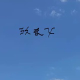 zdl00000