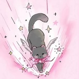 猫猫神