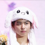 兔的GummyBoo