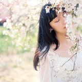 芷墨