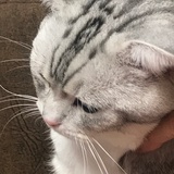 筱馨姊