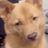 专门看故事