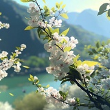 卫无烬