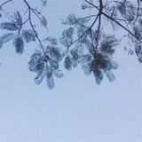 小克法援
