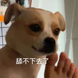 答而丢夫煎妮
