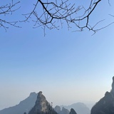 没穿鞋的兔子