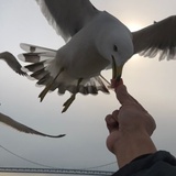 摩托一脚着