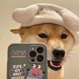 糖果er