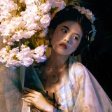 鹊桥仙❀