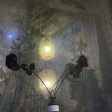 一皮卡糖