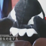 请不要提前一天