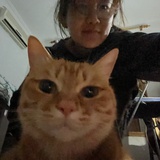 中轴线上的摆锤