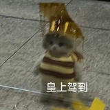 哈哈哈哈哈哈