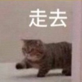 小F