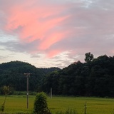 与我无关