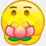 查无此人