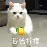 欧姆蛋