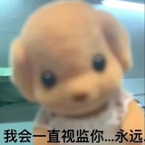 TF家族郑秀晶