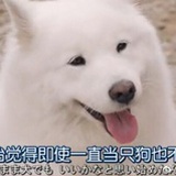 豆友6032834084