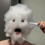 子慕于兮善窈窕