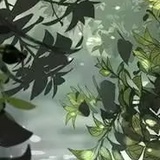ppioq