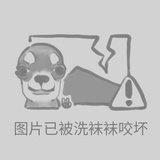 固形物含量