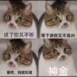 豆友尼