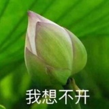 卡因.波洛摩斯