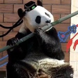 宅永宁伴西江
