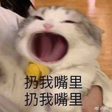 一万年太久