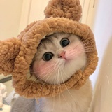 毛孩的好朋友