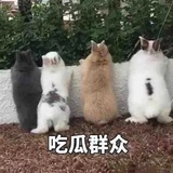 随心所欲的女人