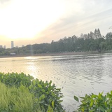 伏黑惠