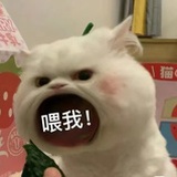 鲁悉