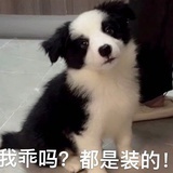 豆友j5BRUoGe-k
