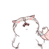 江江呀